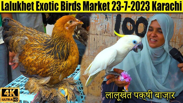 Lalukhet Exotic Birds Parrots Hen and Rooster Market 23-7-2023 Karachi