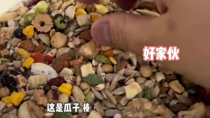 What’s with a bucket of parrot food and daily mixed nuts for the New Year?