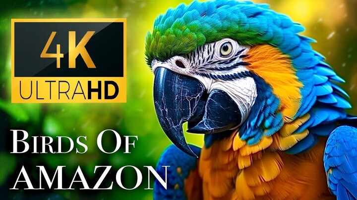 Birds_of_Amazon_4K_-_Birds_That_Call_The_Jungle_Home_Amazon_Rainforest_Scenic_Re