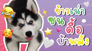 จากข้าวนุ่มสู่ข้าวเน่า มาดูความน่ารักในแต่ละวันกัน - ข้าวนึ่ง & เดอะแก๊ง