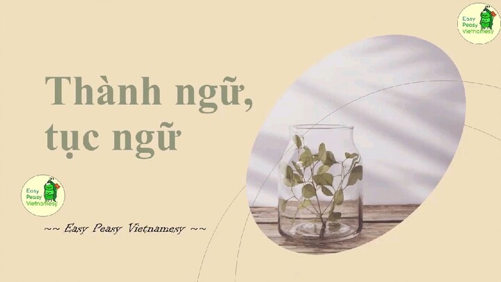 第二个视频EASY PEASY VIETNAMESY - Thành ngữ, tục ngữ của Việt Nam-  越南语的成语和俗语