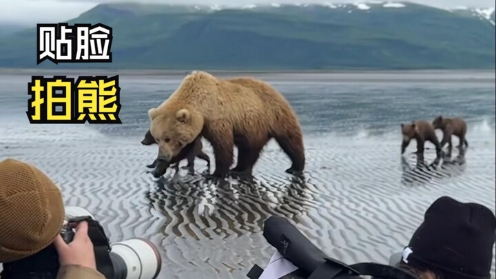 วิดีโอบรรเทาใจจากเหล่าสัตว์น่ารัก!