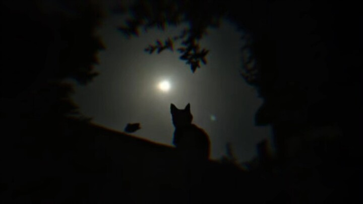 แห่ฮ้อมโฮมขวัญ