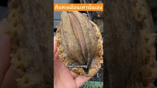 แค่เหมือนเท่านั้นเอง #เบาสมอง