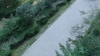 &{เต็มเรื่อง}สาวขายคืนแรกให้ชายแปลกหน้า แล้วหนีไป 5 ปีต่อมา CEO #พากย์ไทย