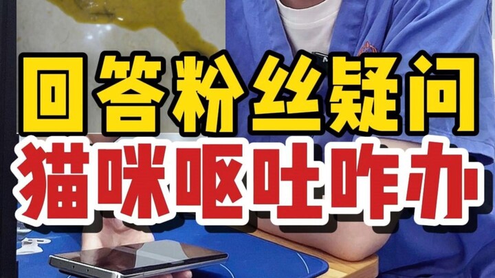 Cat-Keeping Q&A: Pet Parents, Come Claim Your Spot! Leave a comment if you have questions...