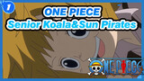 ONE PIECE|We must send this guy back to his hometown （Senior Koala&Sun Pirates）_1