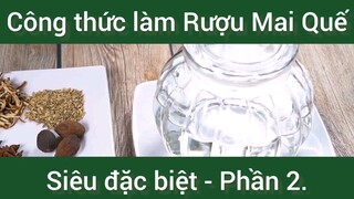 Công thức làm Rượu Mai Quế siêu đặc biệt phần 2