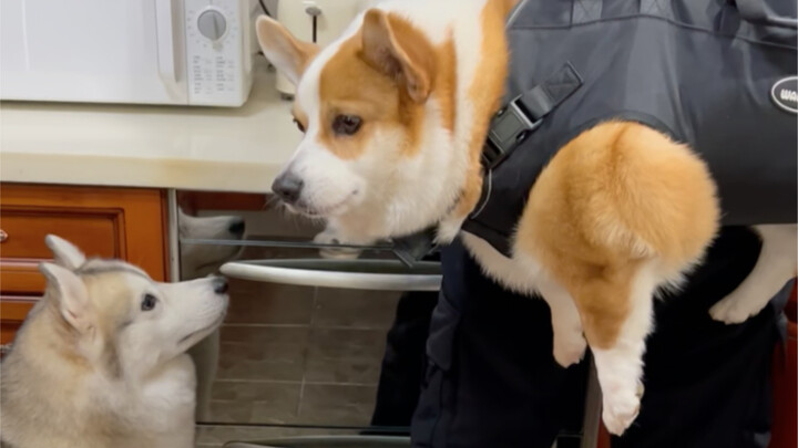 เลี้ยงลูกสามคนตามลำพังยากจริงๆ