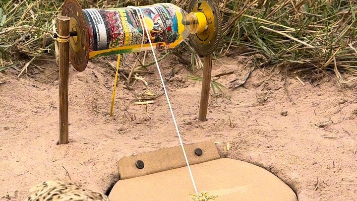 [World Curiosities Commentary] Updated! Come check it out now!