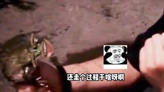 毫无游戏体验