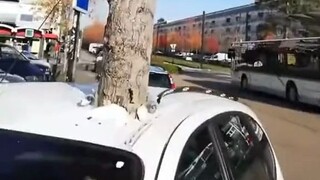 A tree and a car almost burned out my CPU