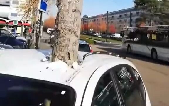 一棵树，一辆汽车，差点把我的cpu都干烧了