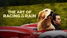 The Art of Racing in the Rain (2019) Full HD Sub Indo