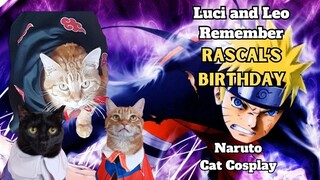 Luci and Leo Remember Rascal's 10th Birthday