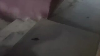 شكرًا جزيلًا لك يا أخي الأكبر، فعندما منعتني ضفدعة الذهب من الدخول في الواحدة بعد منتصف الليل، وقفتَ