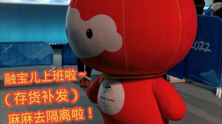 ของสะสมหรงเป่าเอ๋อร์ ลูกน้อยไปทำงานแล้ว!
