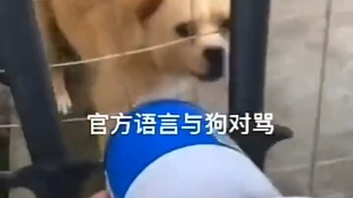 Dog: Why is he swearing so nastily?