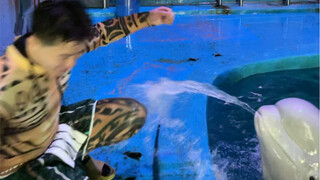 พอพูดถึงเสี่ยวเฮยผางเสร็จ ก็ไม่ยอมให้ความร่วมมือกับฉันเลยสักนิด