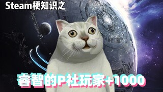معرفة ميم اللعبة: لاعبو Wise Paradox +1000