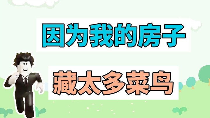 What's the meme about "There are too many noobs hidden inside my house"?