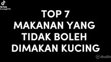 Top 7 makanan yang ngga tidak boleh dimakan kucing