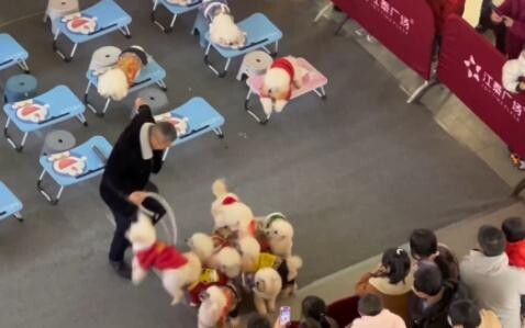 رياضة عابرة للأنواع، ما أروع هذه اللقطة!