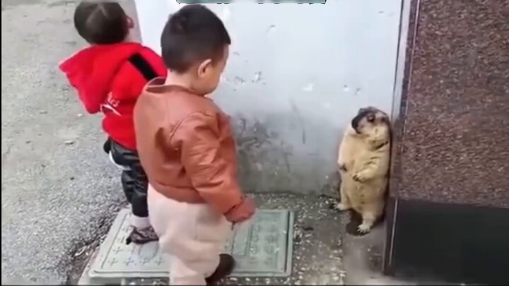 "Tôi có thể nói tiếng Pháp, bạn có thể xử lý được không?" 》Bản đầy đủ tiếng Nhật