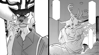 与未婚妻的初夜，可怜的路易洋相百出，找狮子组求安慰【BEASTARS/动物狂想曲#31】