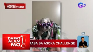Aso, kumas sa Asoka challenge | Dapat Alam Mo!