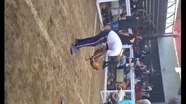 win