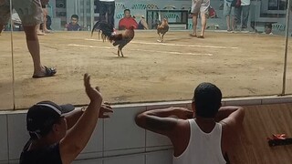 1 hit