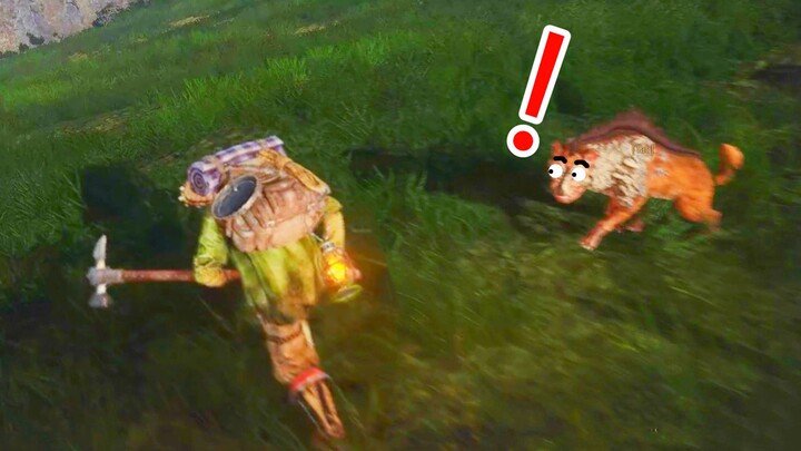 Dog: You’re the real dog, aren’t you!