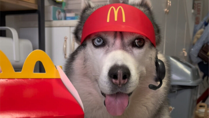 Are you more likely to buy it if you bring your dog to your door?