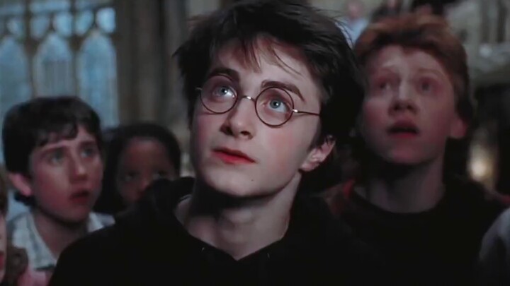 [HP/Dan Niu] Let's review Harry's peak appearance