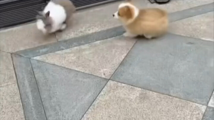 I've only watched it about fifty times.