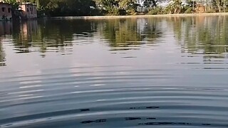 The beauty of nature 🍁🍁🍁