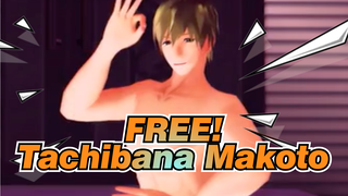 FREE!|【MMD】Girls of Tachibana Makoto!