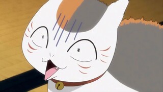 [Natsume Yuujinchou Roku] Adegan terguling mobil besar guru kucing, mungkin kucing tidak berguna