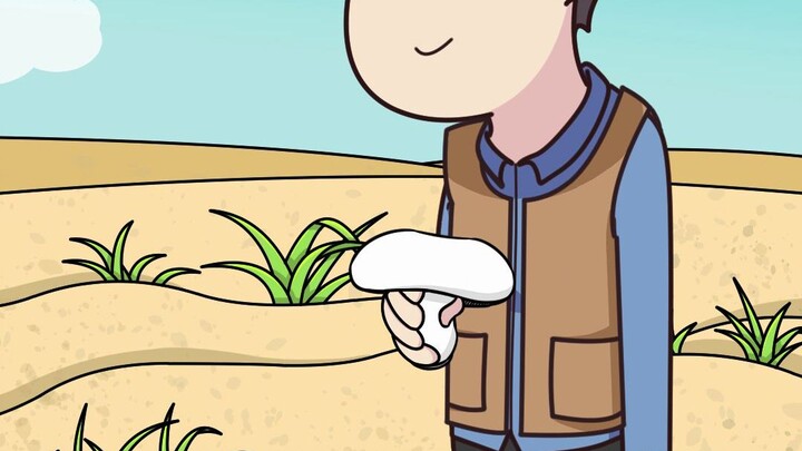 Big mushrooms grow in the sand, and you can find one every time you dig it up.