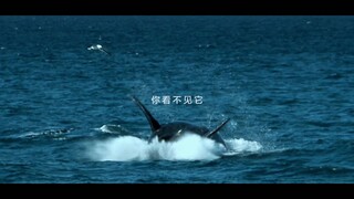 Iklan promosi HarmonyOS Huawei benar-benar memukau!