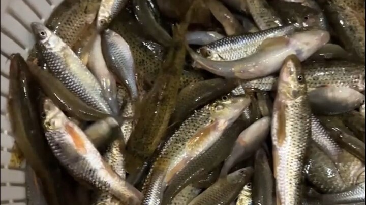 With this trick, who would still be a fishing enthusiast?