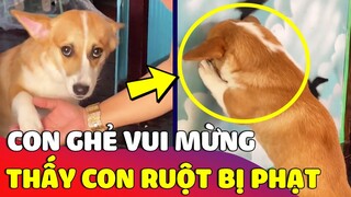 Con Sen 'VUI MỪN'G khi chứng kiến 'CON RUỘT' bị bố đem ra PHẠT NẶNG 😅 Gâu Đần