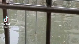 tôi cũng muốn có Ny 😭