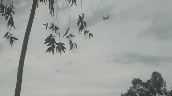 flaying plain in sky
