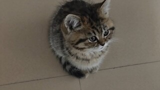 哄不好了~꒦ິ^꒦ິ