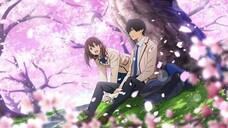 MOVIE | Kimi no Suizou wo Tabetai - Sub Indo