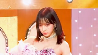 ฤดูหนาว สุนัขของเรากลายเป็นหน้าอกใหญ่สุดๆ เลยช่วงนี้! !