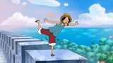 Kehidupan sehari-hari Kapten Luffy yang bahagia, lucu dan tidak punya otak!