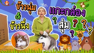 ข้าวนุ่มและข้าวนึ่ง แกะกล่องสุ่ม Safari World จะเป็นยังไงไปดูกันเลย - ข้าวนึ่ง & เดอะแก๊ง